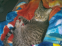 Alice Then & Now