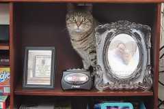 ALice-entertainment-center