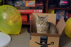 Alice-Amazon-Box-45