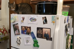 Alice-Fridge-Pic-1