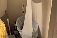 Alice-Toliet-Paper-Fun