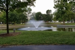 20746206_320676175051255_7611494698182579553_o