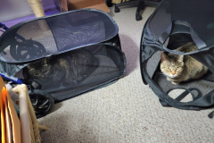 Alice-Missy-Laundry-Basket